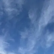 ✴︎おーチャン✴︎