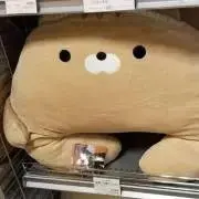 ayoの画像
