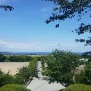 キリコの画像