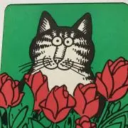 カズコロ