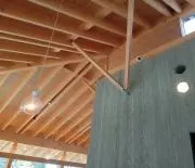 禅太の画像
