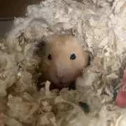 びーばーん⚠︎︎プロフ必読の画像