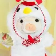 すいかの画像