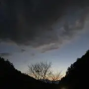 tt