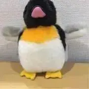 ぺんぎん7月末迄お休みですの画像