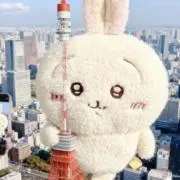 うさぎの画像