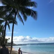 みーの画像