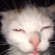 mの画像