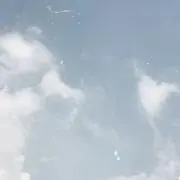 あの画像