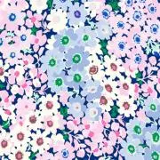 すみれ123の画像