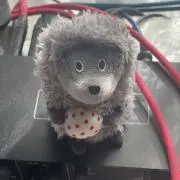 nosetakayoshiの画像