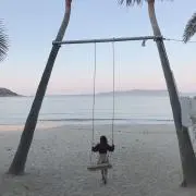 ぴよの画像