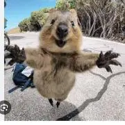 あやかの画像