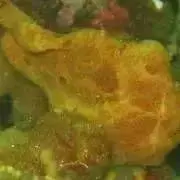 凍。の画像