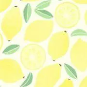 るもの画像