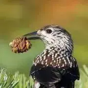 みなみの画像