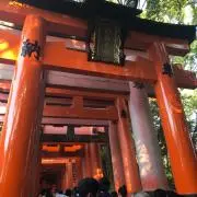 うさみ