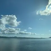 Hanaの画像