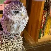Image of たーなん☆プロフご一読下さい！