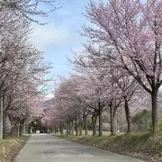 みいこの画像