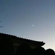 はるの画像