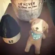 のーすの画像