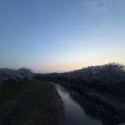 千冬の画像