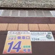 Tamaの画像