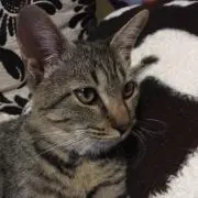 hiroakiの画像