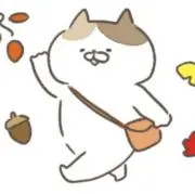 koto︎✿の画像