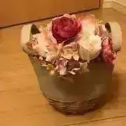 ホワイトローズの画像