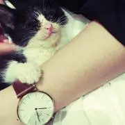 びーの画像