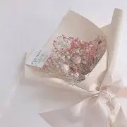 coccoの画像