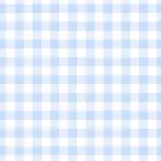 みぃちゃむの画像