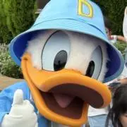 りんごの画像