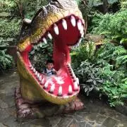 h.kの画像