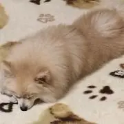 みっこ