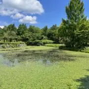 山ぞ