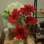 ラムの画像