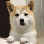 桃李の画像