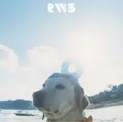 nikoの画像