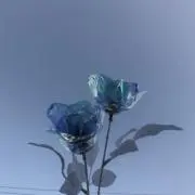わっさーの画像