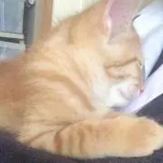 ひろろん