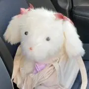 ✦の画像