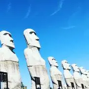 ガブの画像