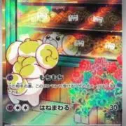 パピモッチの画像