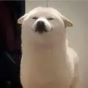TCSHOPの画像
