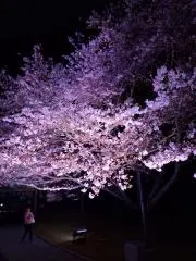 Over-2nd   即購入OKです‼️の画像