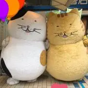 きなこの画像