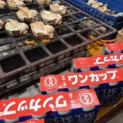 Hの一族